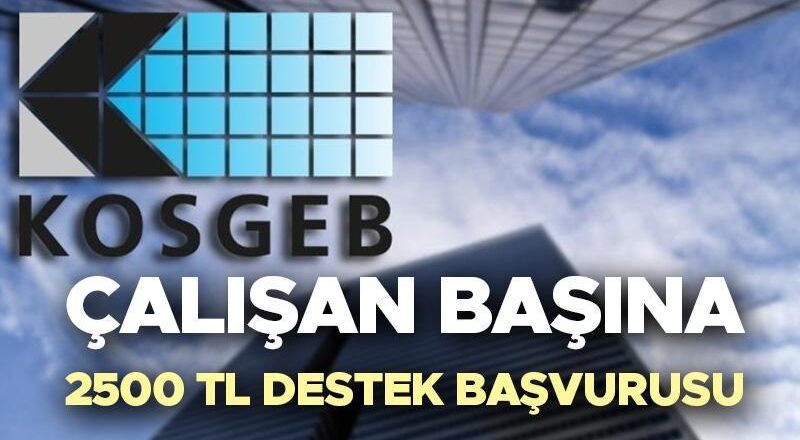 ÇALIŞAN BAŞINA 2500 TL DESTEK TALEBİ 2025 || KOSGEB İstihdam Koruma Programına nasıl başvurulur, koşullar nelerdir, 2.500 lira desteği kimler alacak? Cumhurbaşkanı Erdoğan açıkladı!