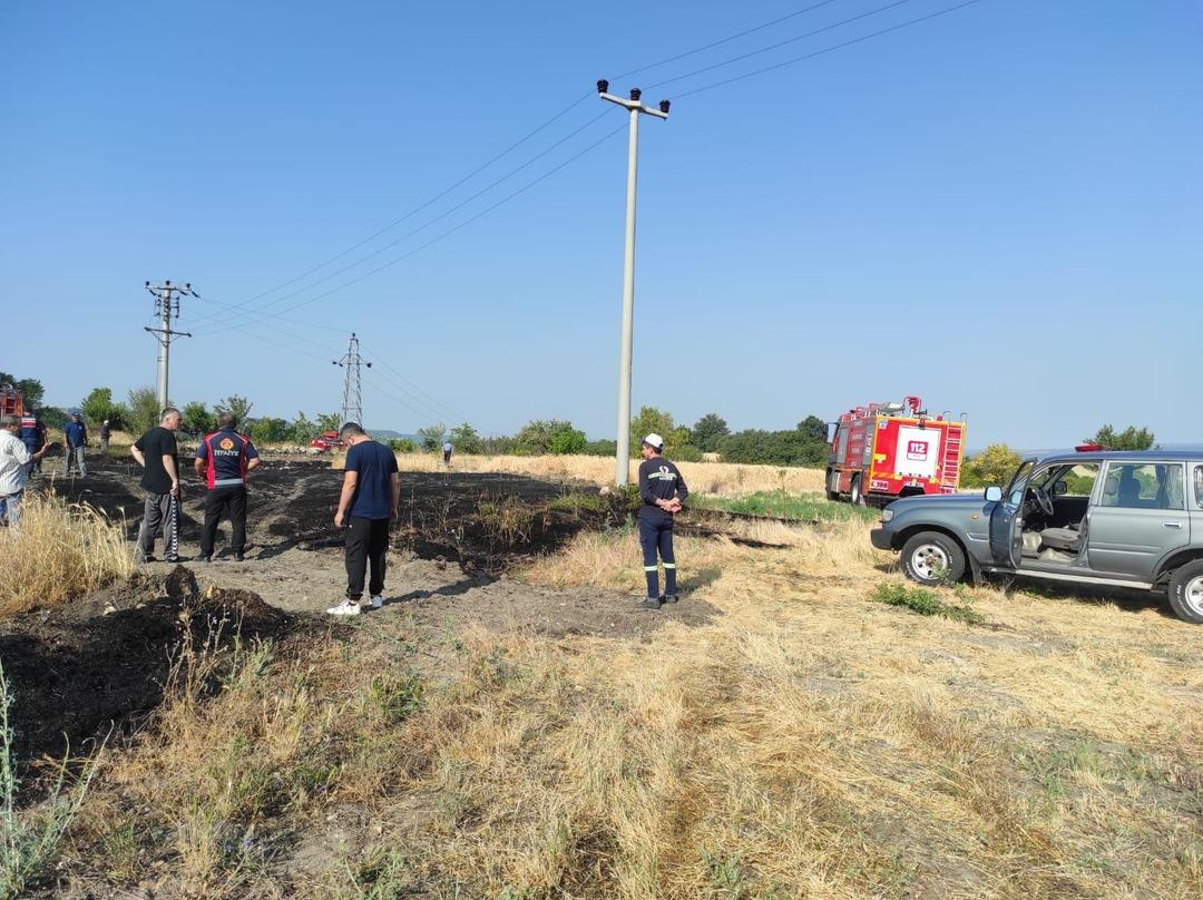 Pozisyon: Kütahya! Elektrik akımında yakalanan kuş yangına neden oldu! 2