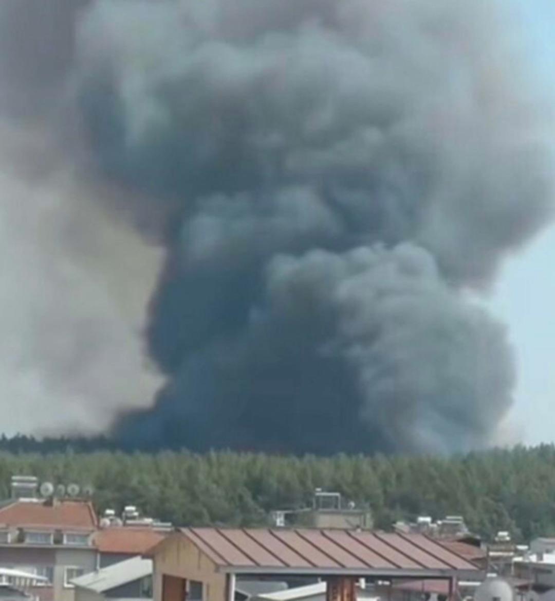 Izmir'de Orman Ateşi: Havanın ve Dünya'nın Müdahalesi 2