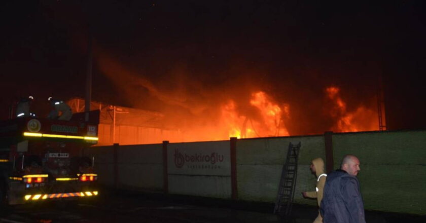 Samsun Bafra OSB’de geri dönüşüm tesisinde yangın – Son Dakika Türkiye Haberleri